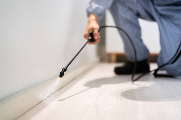 Bed Bug Pre-Treatment Preparation Assessment in Willcox