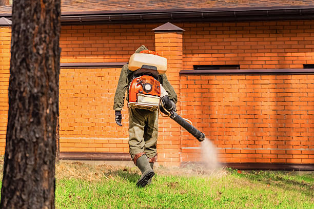 Bed Bug Clearance Verification and Documentation in Willcox